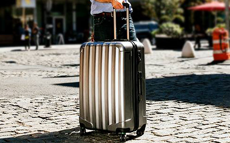 business luggage brands