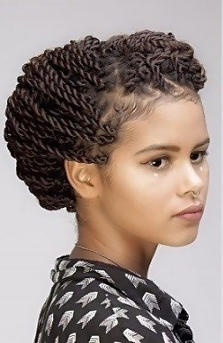 27 Chic Senegalese Twist Hairstyles For Women The Trend Spotter
