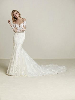 long sleeve lace tight wedding dress