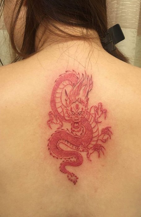 Feminine Red Dragon Back Tattoo arttattoo animal blacktattoo  httpviraltattoonetfemininereddragonba  Dragon tattoo for women Spine  tattoos Red tattoos