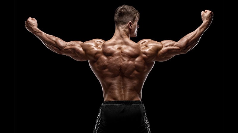 8 Best Back Exercises For Building A Broad Physique The Trend Spotter