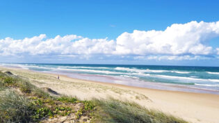 10 Best Beaches to Visit in Noosa (2024) - The Trend Spotter