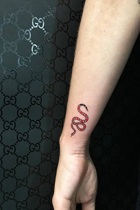 Robert McCollum on Instagram Small snake on the hip nctattooers  Charlotte snaketattoo hiptattoo linework tattoo tattoos ink inked