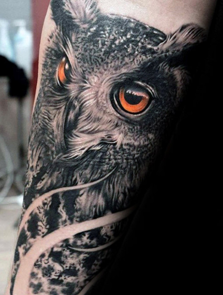 Tattoo uploaded by Orla  Sick black  grey realistic horned owl tattoo  dreamtattoo mydreamtattoo  Tattoodo