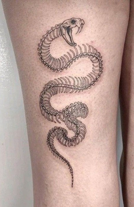 Snake tattoo sketch illustration made with pencil Stock Photo Picture And  Rights Managed Image Pic VC33085923  agefotostock