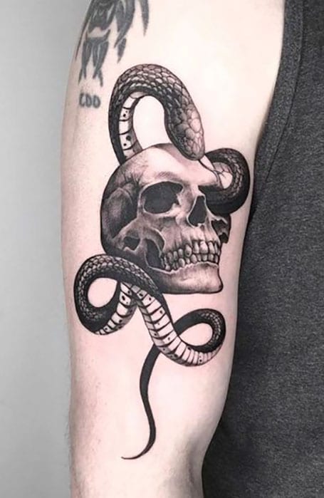 Buy Big Snake Tattoo Online In India  Etsy India