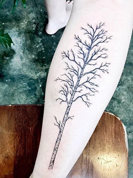 Tatuaggio albero di betulla