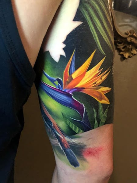 Bird of Paradise Color Tattoo by Steve Malley TattooNOW