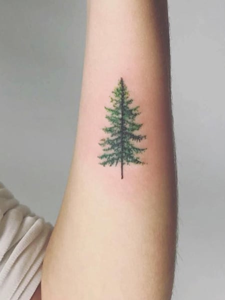 Tree tattoo done by Kif kifscott   Good Point Tattoos  Facebook