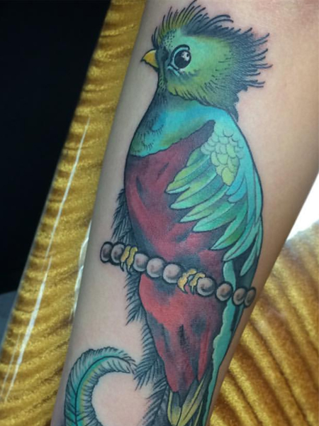 quetzal tattoo drawing  Clip Art Library