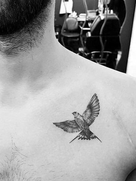 ALIVE Tattoos  Piercing   Bird tattoo on back of neck by imedith  dm or whatsapp for appointments 7277663322 7277663344 bird birdtattoo  birdtattoodesign birdtattoos backnecktattoo eagletattoo necktattoo  necktattooideas 