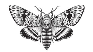 110 Beautiful Butterfly Tattoo Designs & Meaning