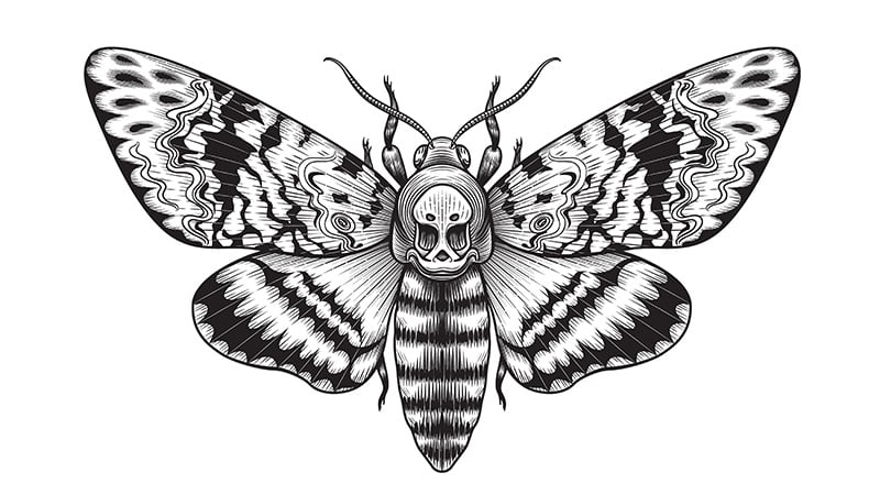 Discover 60+ butterfly tattoo black and white - in.cdgdbentre