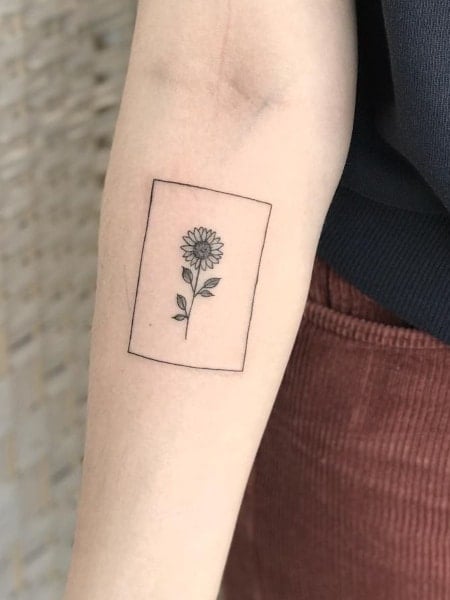 minimalist succulent tattooTikTok Search