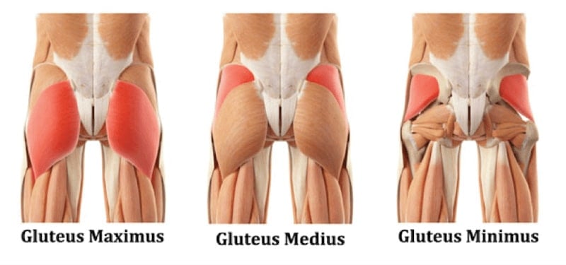 Glute Workouts: 8 Best Glute Exercises Building a Nicer Butt