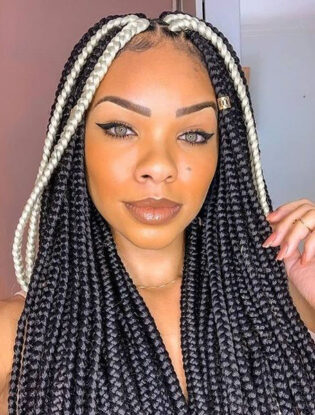 50 Box Braids Hairstyles to Try in 2024 - The Trend Spotter