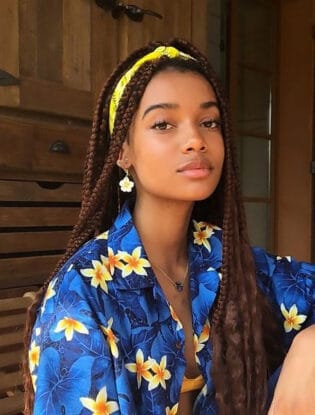 50 Box Braids Hairstyles to Try in 2024 - The Trend Spotter