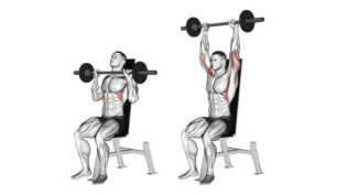 The Best Upper Body Workout For Max Muscle Growth