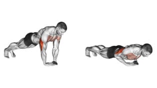 How to Do Tricep Pushdowns The Correct Way - The Trend Spotter