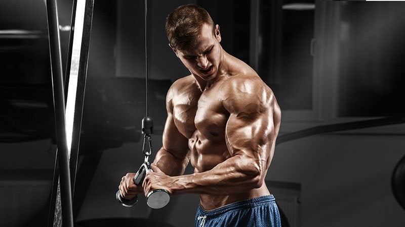 How to Do Tricep Pushdowns The Correct Way - The Trend Spotter