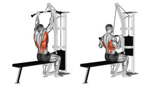 How To Do a Lat Pulldown: Muscles Worked, Form, Variataions & How-To