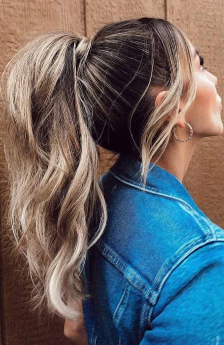 40 Beautiful Ponytail Hairstyles for the Fashionable You  Hair Adviser