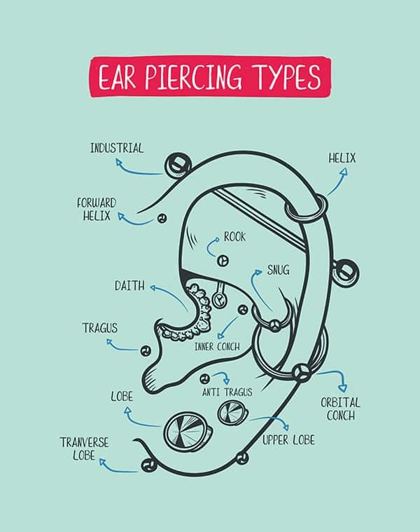 Ear Piercing Diagram. Top Different Types Of Ear Piercing Trendy