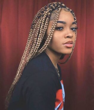 40 Black Braided Hairstyles for Women in 2024